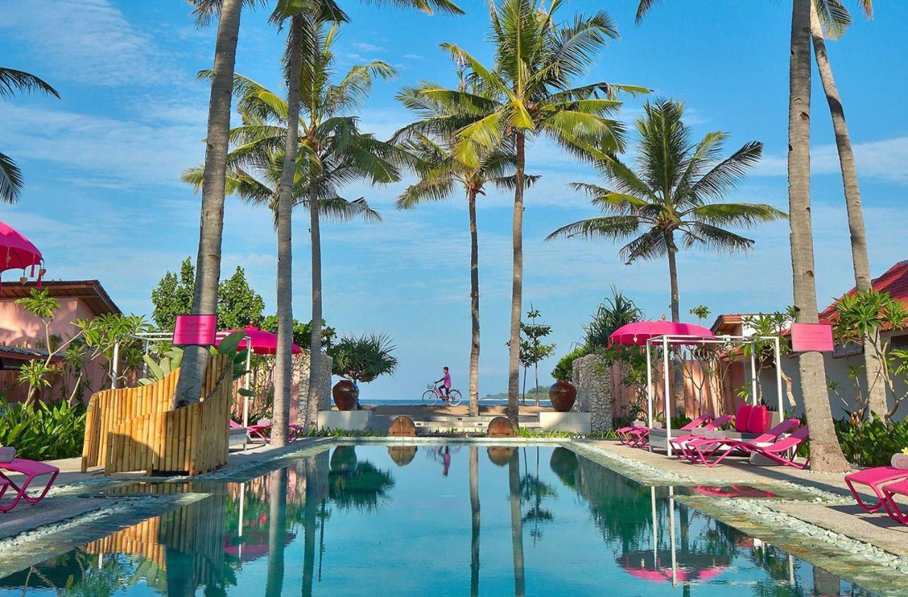 सहारा Pinkcoco - Constant Surprises & For Cool Adults Only 3*